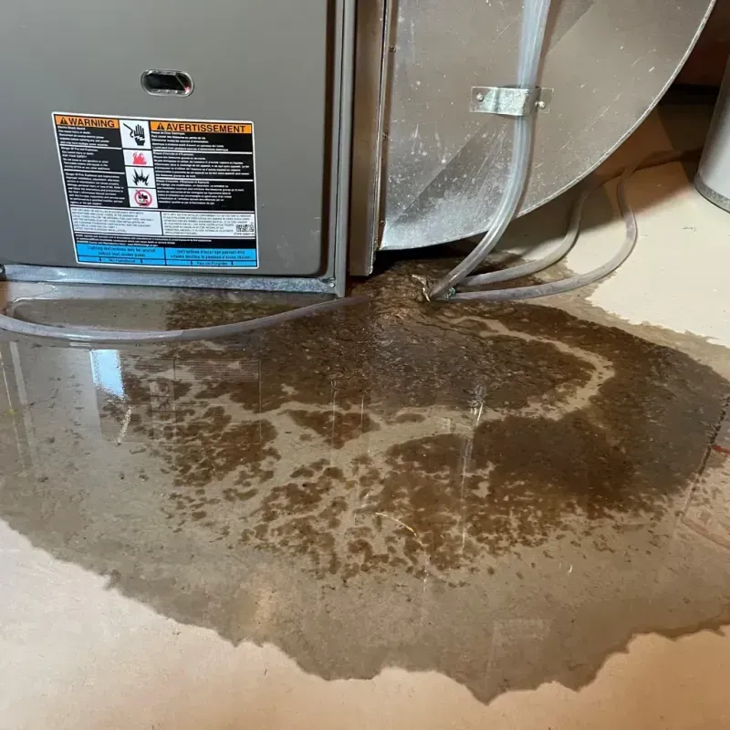 Appliance Leak Cleanup in Pumpkin Center, NC